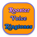 Rooster Voice Ringtones-APK