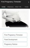 First Pregnancy trimester Affiche