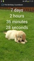 Pet Birthday Countdown скриншот 3