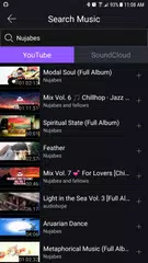 Скачать plug.dj APK