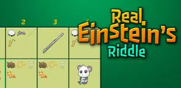 Einstein Riddle Charada Lógica