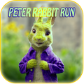 Peter Rabbit Run