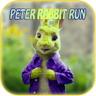 Peter Rabbit Run icône