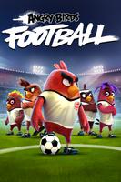 Angry Birds Football Plakat