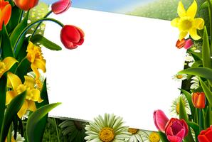 Flower Photo Frames Wallpaper-poster