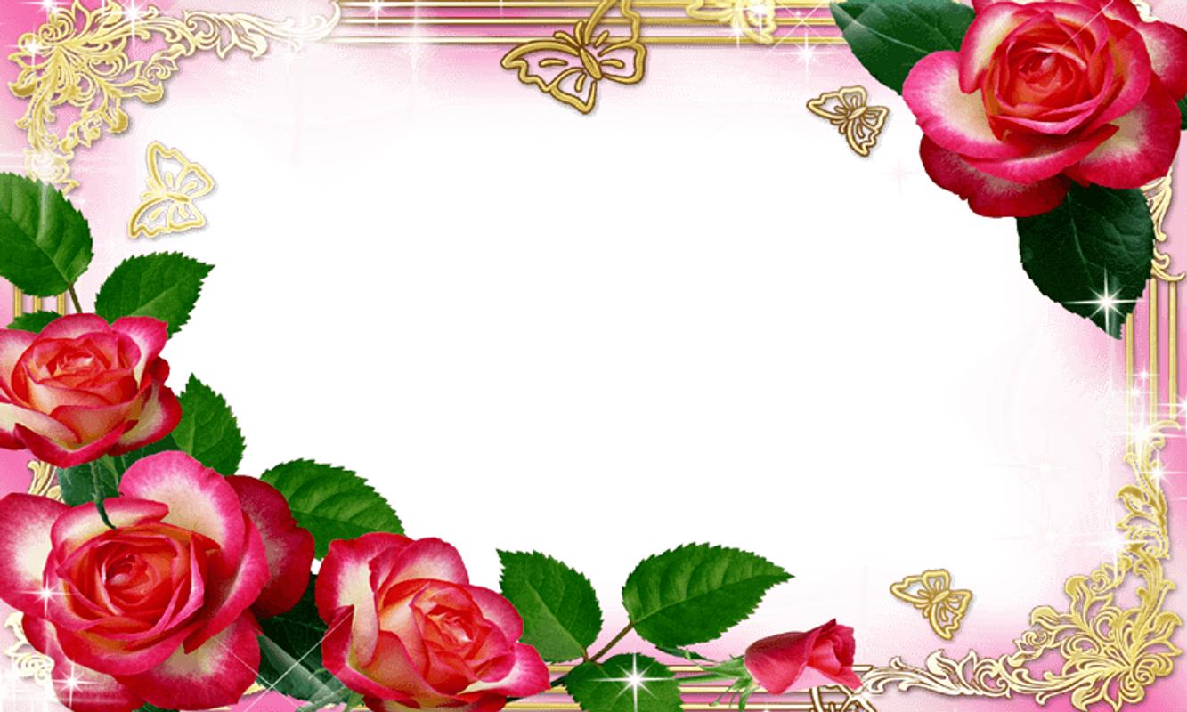 Hd Flower Photo Frames Eazy Wallpapers