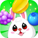 APK Fruit Link Bunny Paradise