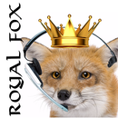Royal Fox Estate Agents APK