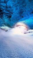 HD Wallpapers syot layar 1