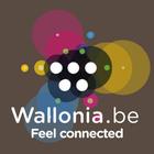 Wallonia ícone