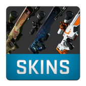 Skins DB 아이콘