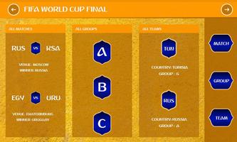 FIFA World Cup Final Affiche