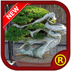 Design Bonsai Ideas icon