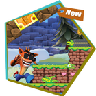 Icona The Jungle Crash Adventure