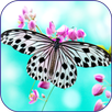 Butterfly 5D live wallpaper APK