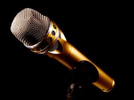 Grabadora de Voz Profesional para Cantar y Editar Ekran Görüntüsü 1