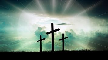 Emisora Vida AM 870 Emisora cristiana en español تصوير الشاشة 1