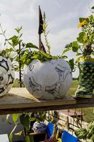 Curso de jardineria huerto ảnh chụp màn hình 1