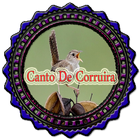 Canto De Corruira biểu tượng