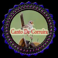 Canto De Corruira Poster