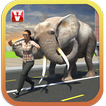 ”Elephant Racing Simulator 2016