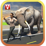 Elephant Racing Simulator 2016 آئیکن