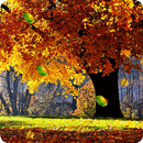 Autumn Live Wallpaper FREE APK