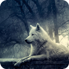 Wolf 3D Live Wallpaper FREE ícone