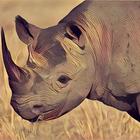 ikon Deadly Desert Rhino Simulator