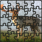 Wild Animal Jigsaw Puzzles icône