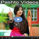 Pashto Video icône