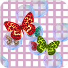 Bubble Butterfly POP アイコン
