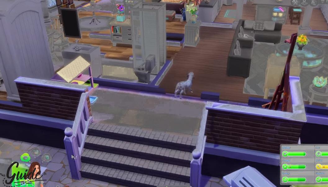 Sims