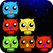 pop owls-crazy pop super star