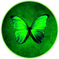 Butterfly Nature Wallpapers