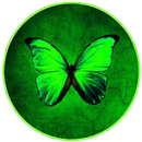Butterfly Nature Wallpapers APK