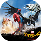 Spider-Man Wallpaper 2018 icône