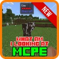 What Am I Looking At MCPE