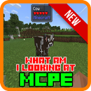 What Am I Looking At MCPE APK