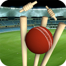 Real Cricket Runout Championship APK