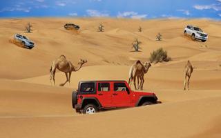 Prado Desert 4x4 Jeep Drive ภาพหน้าจอ 3