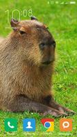 Capybara Wallpapers captura de pantalla 1