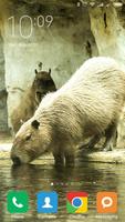 Capybara Wallpapers captura de pantalla 2