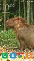 Capybara Wallpapers captura de pantalla 3