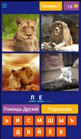 4 фото 1 слово - животные Affiche