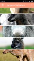 Kangaroo Wallpapers Plakat