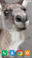 Kangaroo Wallpapers Screenshot 1