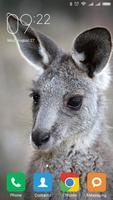Kangaroo Wallpapers Screenshot 2