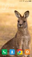 Kangaroo Wallpapers screenshot 3