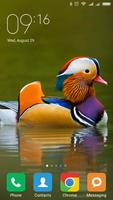 برنامه‌نما Mandarin duck Wallpapers عکس از صفحه